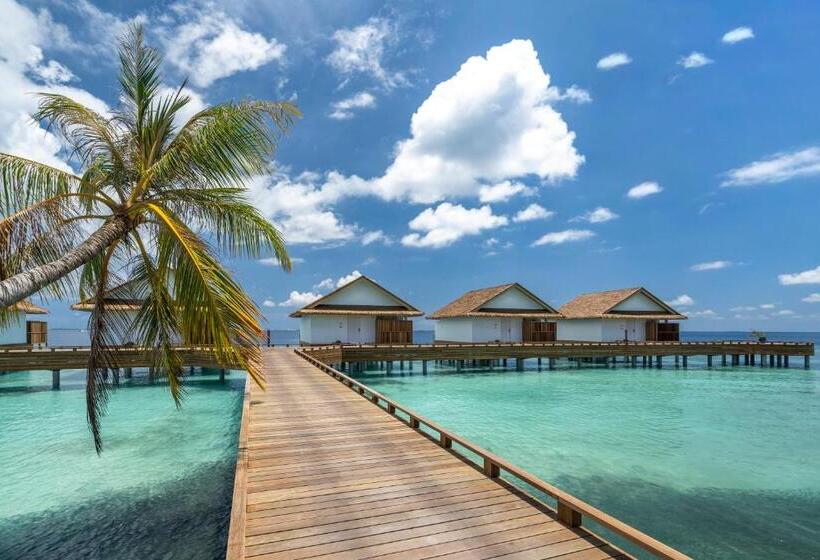 ویلای یک اتاق خوابه با استخر شنا, Bandos Maldives