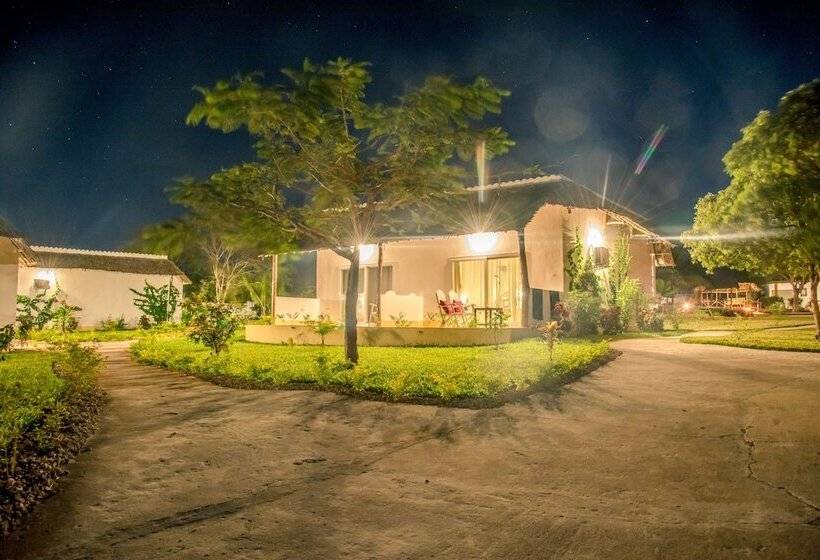 اتاق لوکس با چشم‌انداز دریا, Tanzanite Beach Resort