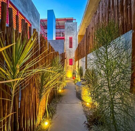 آپارتمان 1 خوابه, Room Cuzama Disfruta De Este Paraiso