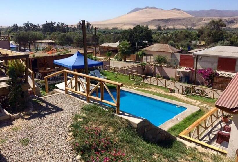 آپارتمان 1 خوابه با تراس, Cabañas Terrazas De Olivos