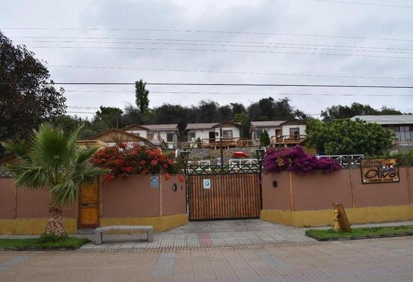 آپارتمان 1 خوابه با تراس, Cabañas Terrazas De Olivos