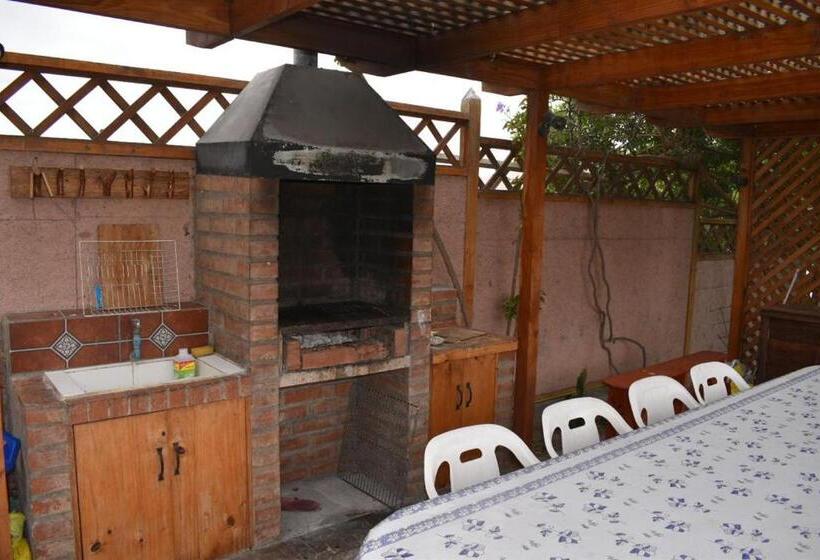 آپارتمان 1 خوابه با تراس, Cabañas Terrazas De Olivos