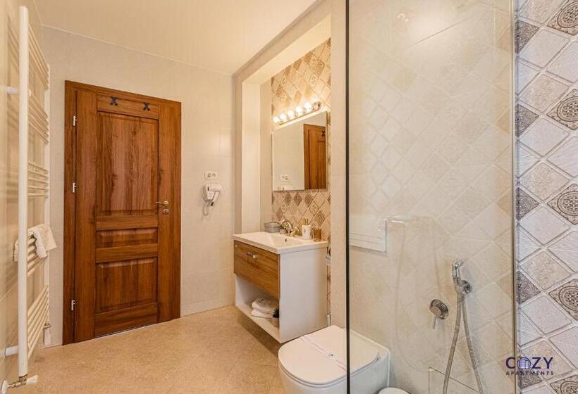 سوییت با چشم‌انداز کوه, Cozy Brand New Boutique Aparthotel Brasov