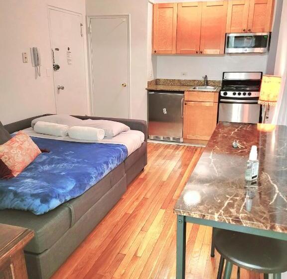 آپارتمان 1 خوابه, Manhattan Stylish Studio In The Upper East Side