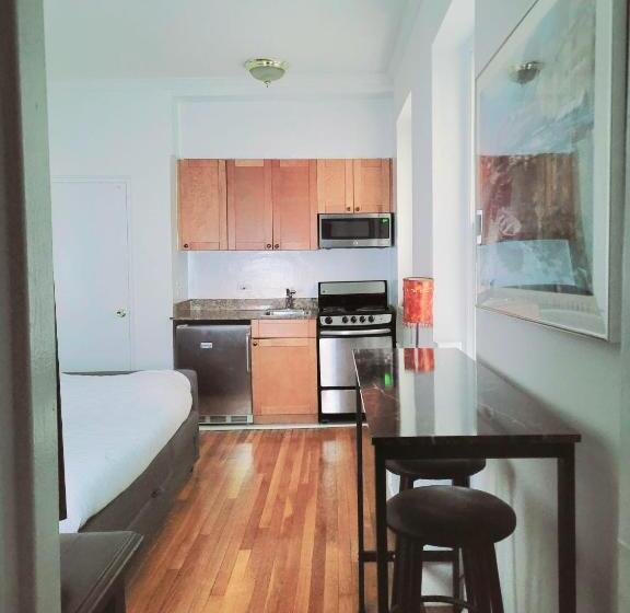 آپارتمان 1 خوابه, Manhattan Stylish Studio In The Upper East Side