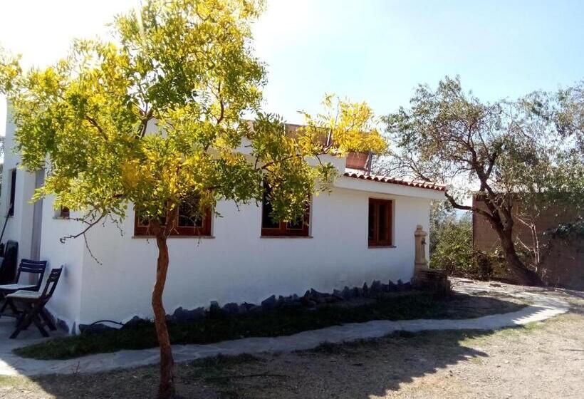 اتاق سوپریور, Cortijo De Amor