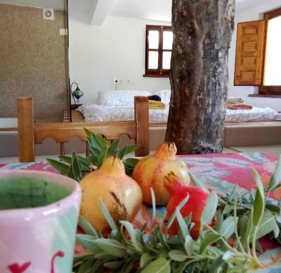 اتاق سوپریور, Cortijo De Amor