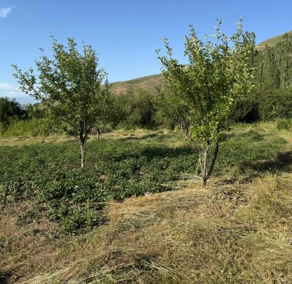 آپارتمان 1 خوابه با چشم‌انداز, Chimgan Forest Garden Camping Resort