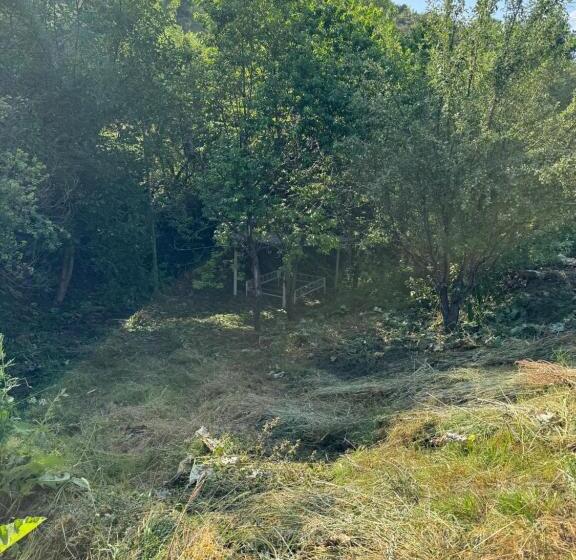 آپارتمان 1 خوابه با چشم‌انداز, Chimgan Forest Garden Camping Resort