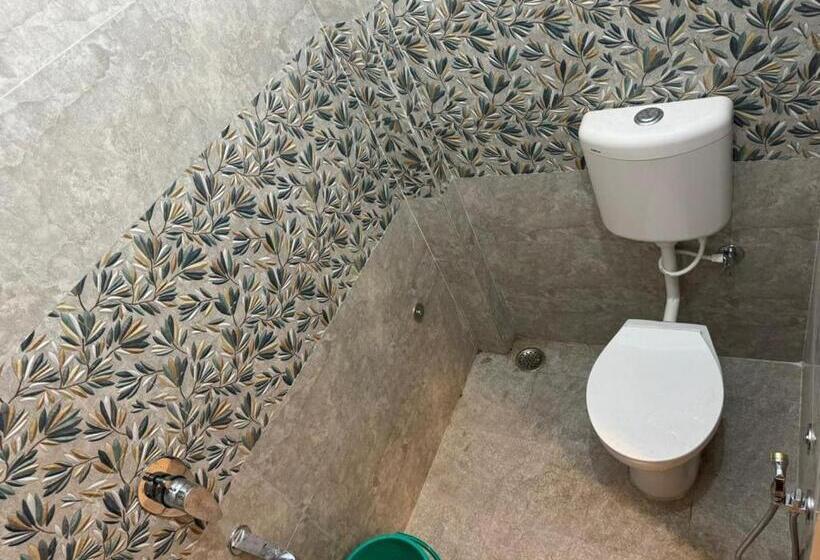 اتاق اکونومی, El Profesor Varanasi