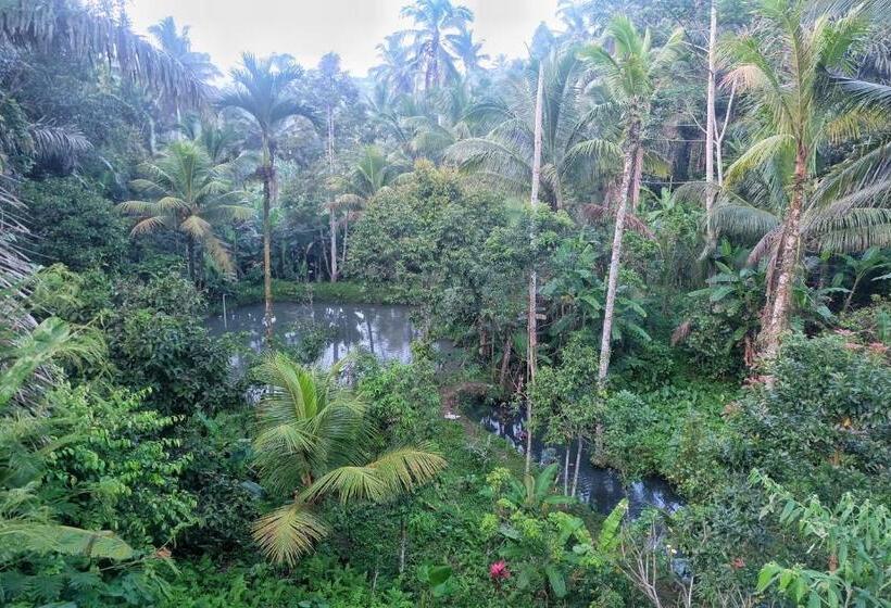 ویلای یک اتاق خوابه با استخر شنا, Gunung Kawi Villa