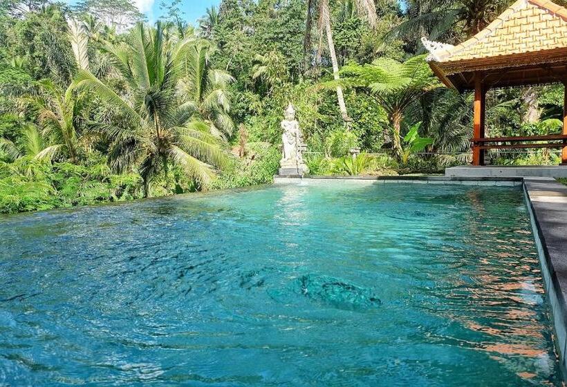 ویلای یک اتاق خوابه با استخر شنا, Gunung Kawi Villa