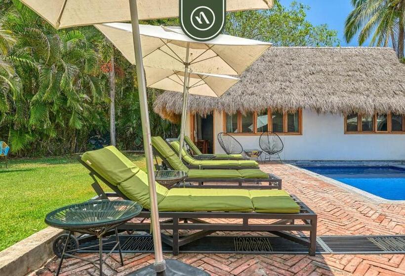 سوییت, Bed And Breakfast Dormitory Room With Pool   Nuevo Vallarta