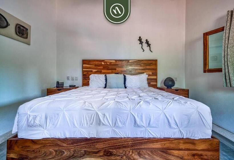 سوییت, Bed And Breakfast Dormitory Room With Pool   Nuevo Vallarta