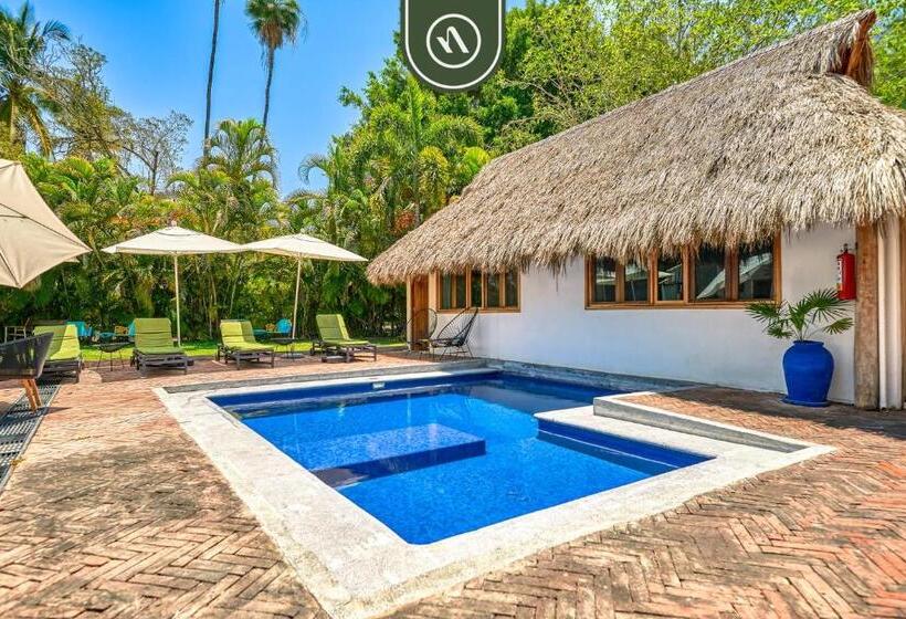سوییت, Bed And Breakfast Dormitory Room With Pool   Nuevo Vallarta