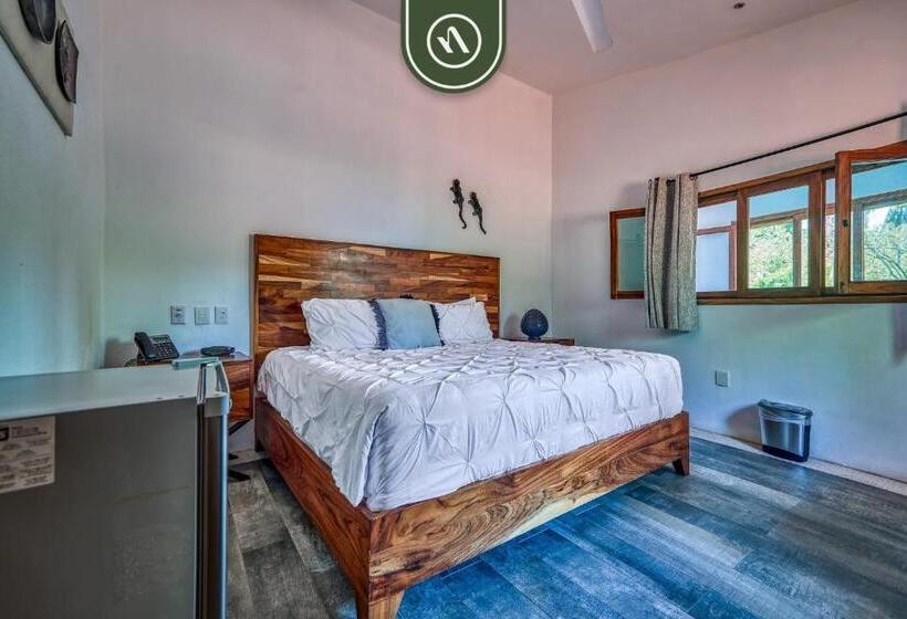 سوییت, Bed And Breakfast Dormitory Room With Pool   Nuevo Vallarta