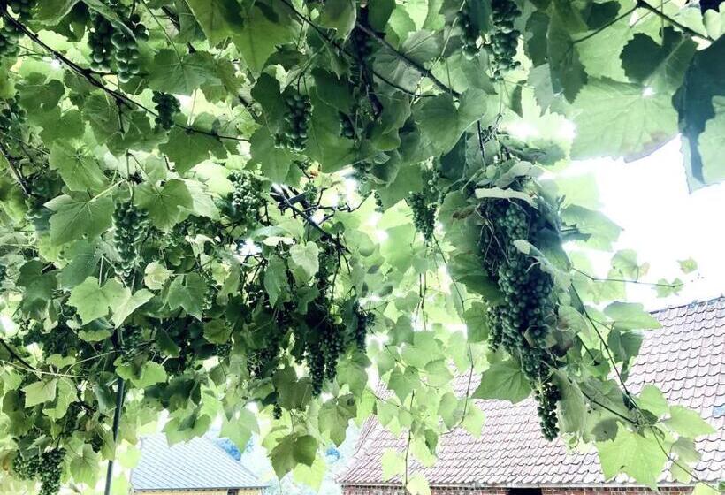 اتاق استاندارد چهارنفره با سرویس بهداشتی مشترک, Hierberg