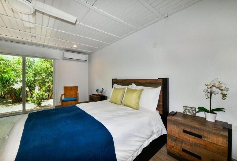 اتاق لوکس, Aloe B&b
