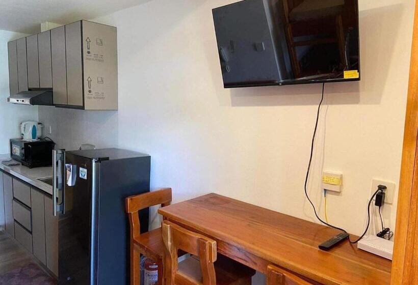 استودیو استاندارد با تراس, Ava S Condotel
