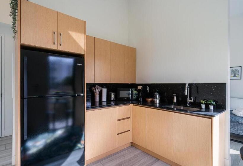 استودیو استاندارد با بالکن, Olive Apartments