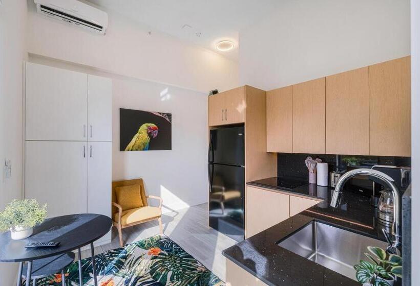 استودیو استاندارد با بالکن, Olive Apartments