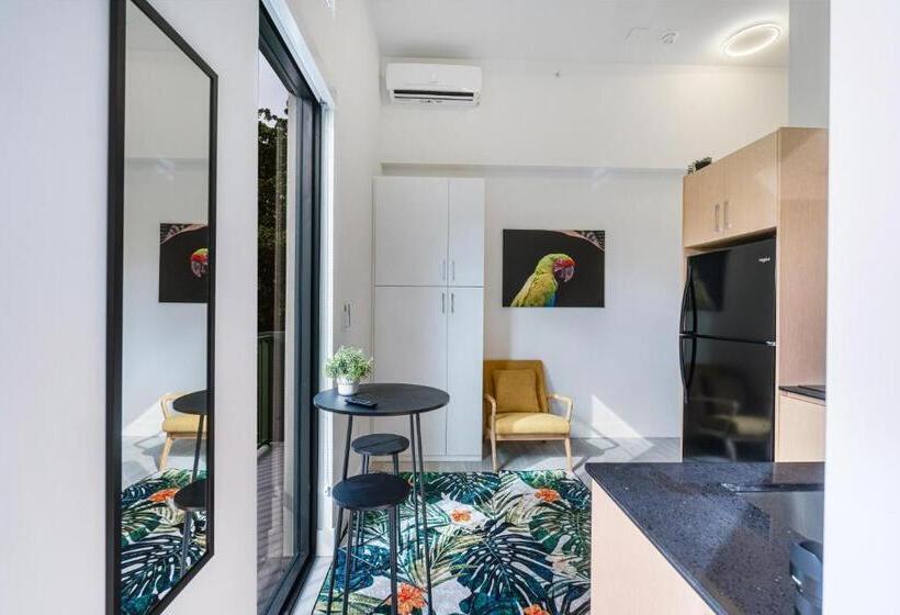 استودیو استاندارد با بالکن, Olive Apartments