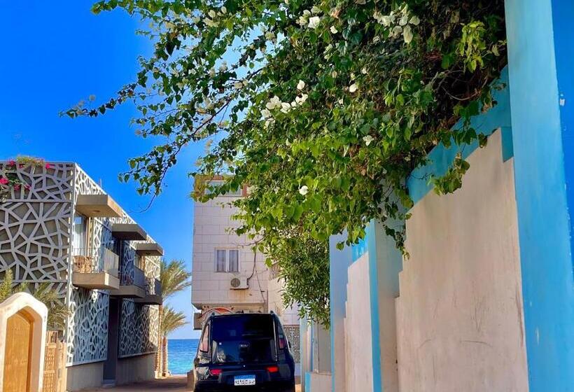 آپارتمان کلاسیک 1 خوابه, Palma Oasis Hostel