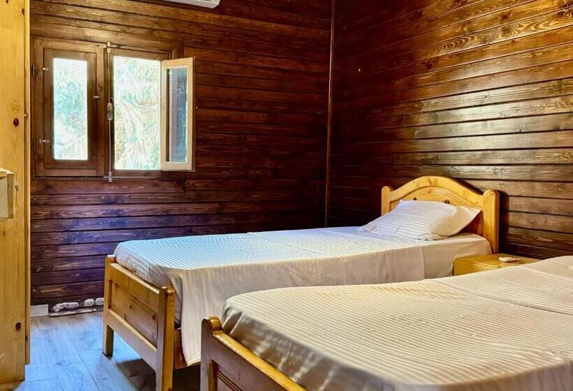استودیو استاندارد با تراس, Palma Oasis Hostel