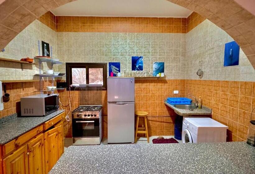 اتاق راحتی سه تخته, Palma Oasis Hostel