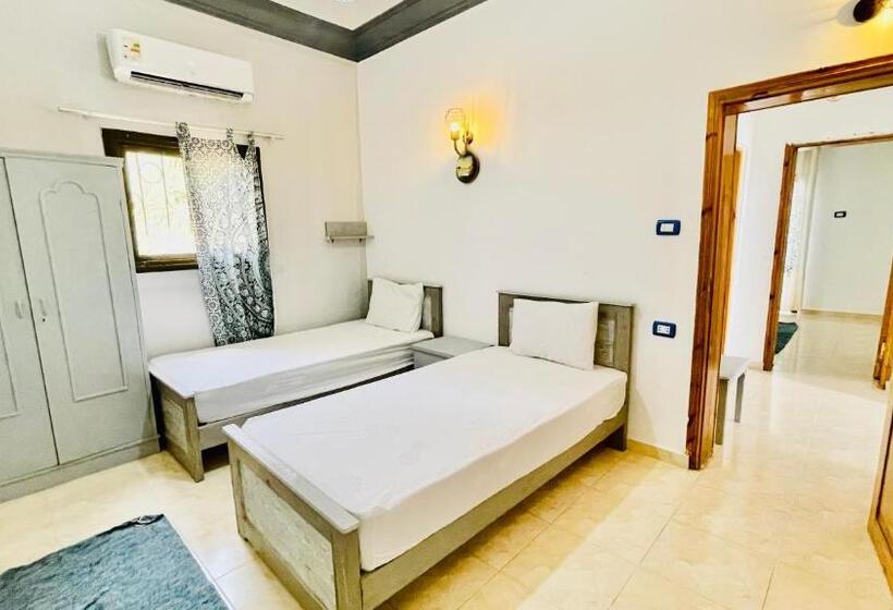 اتاق استاندارد با سرویس بهداشتی مشترک, Palma Oasis Hostel