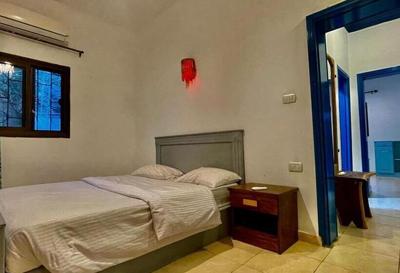 اتاق استاندارد یک تخته با سرویس بهداشتی مشترک, Palma Oasis Hostel