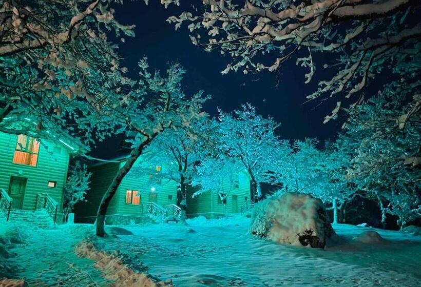ویلای 3 خوابه, Harsnadzor Eco Resort