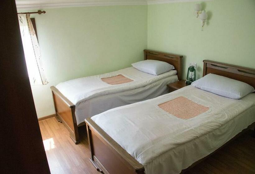 اتاق اکونومی, B&b Odzun