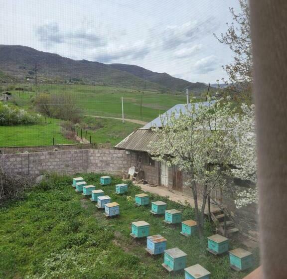 اتاق اکونومی, B&b Odzun