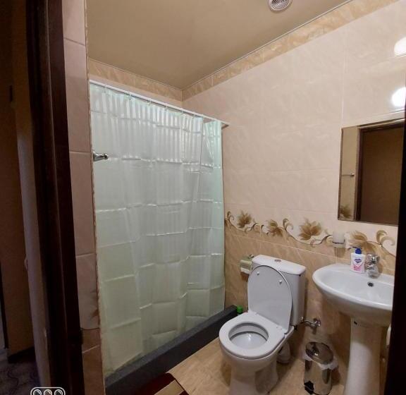 اتاق سوپریور, B&b Odzun