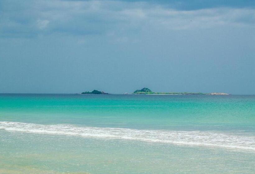اتاق استاندارد, Crescent Sea Resort