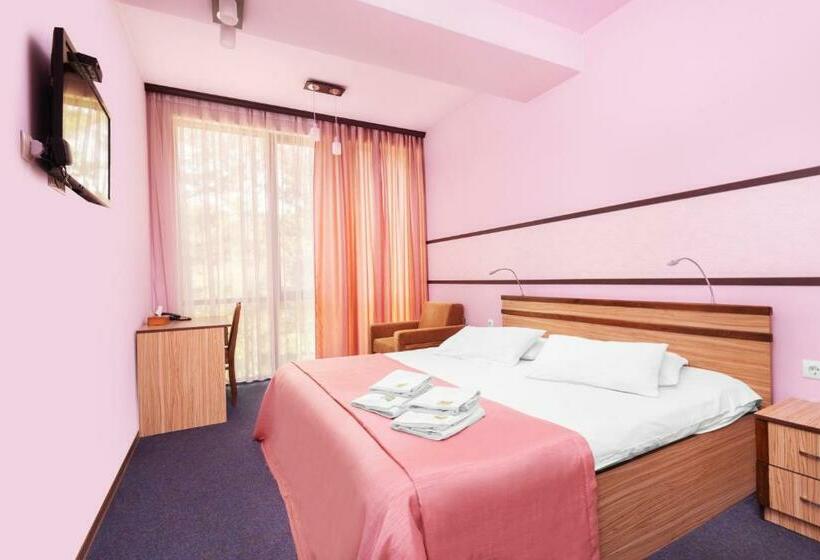 اتاق استاندارد, Arzni Health Resort