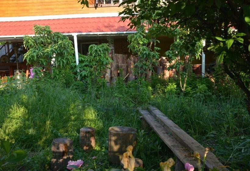 آپارتمان 1 خوابه با چشم‌انداز استخر, корсар:korsar