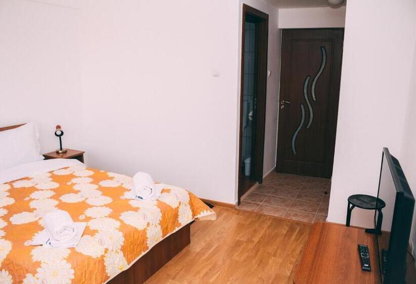 اتاق استاندارد, Vila Dragomirna