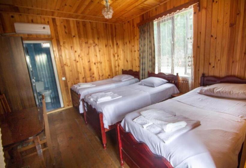 ویلای 1 خوابه, Guest House Imeda