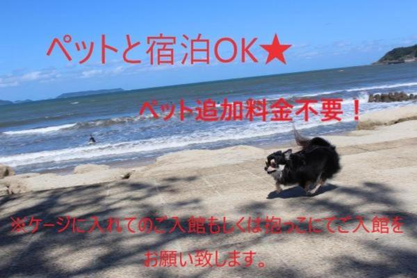 带海景的标准房, Sea Style Resort Ocean