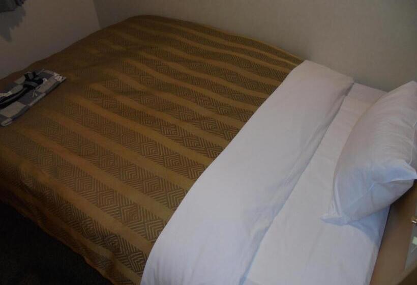 اتاق استاندارد یک نفره, Spa & Sauna Hotel Hitachi Plaza