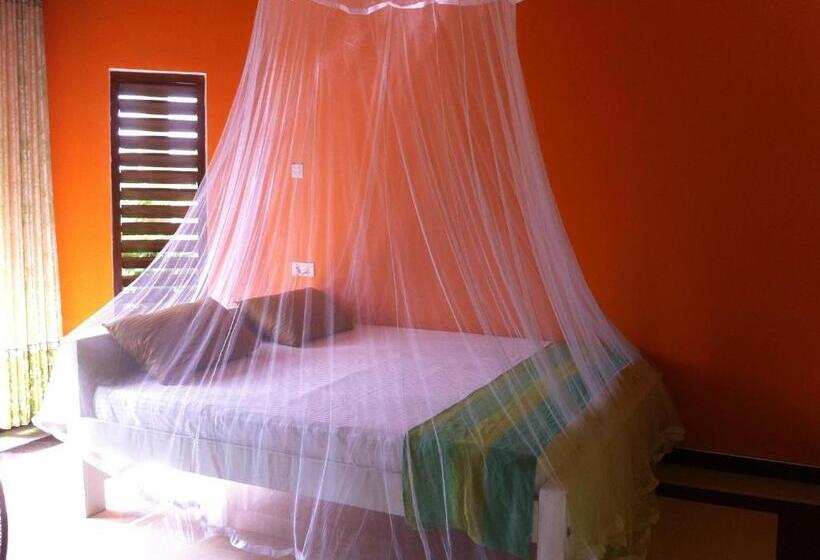 اتاق لوکس, Bee Nest Bed & Breakfast