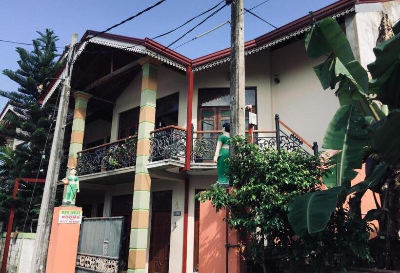 اتاق لوکس, Bee Nest Bed & Breakfast