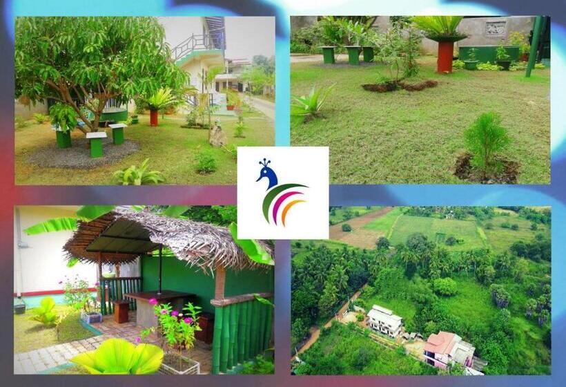 اتاق استاندارد, New Peacock Resort