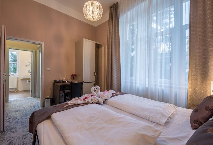 اتاق سوپریور, Wellness & Spa Hotel Villa Regenhart