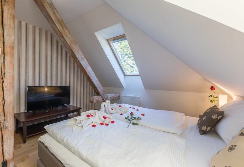 اتاق سوپریور, Wellness & Spa Hotel Villa Regenhart