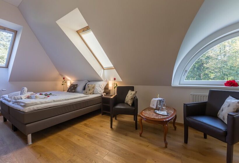 اتاق سوپریور, Wellness & Spa Hotel Villa Regenhart