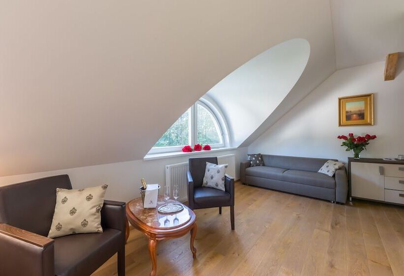 اتاق سوپریور, Wellness & Spa Hotel Villa Regenhart