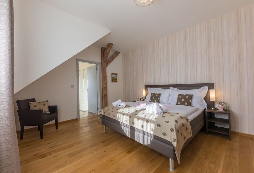اتاق سوپریور, Wellness & Spa Hotel Villa Regenhart